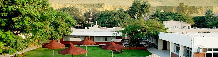 Section française de la MISR Language School - Mlf