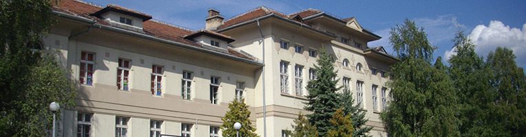 Collège international français