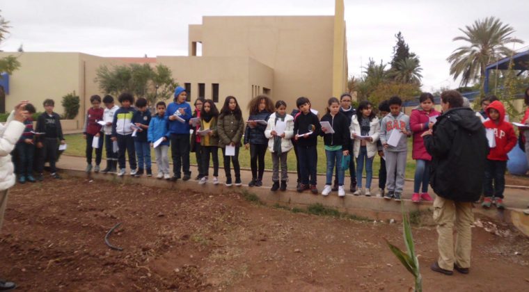 Projet permaculture (Marrakech) – 2016