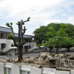 Ecole Publique Conventionnée Gros Bouquet 2 (Libreville, Gabon)