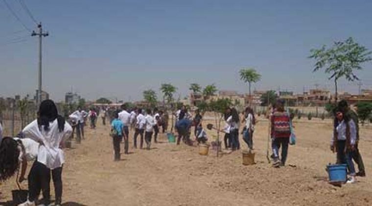 Les élèves de l’école Danielle Mitterrand d’Erbil s’impliquent dans le reboisement du Kurdistan d’Irak – mai 2017