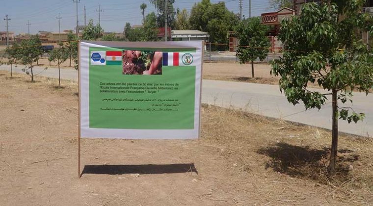 Les élèves de l’école Danielle Mitterrand d’Erbil s’impliquent dans le reboisement du Kurdistan d’Irak – mai 2017