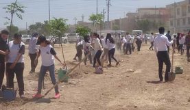 Les élèves de l’école Danielle Mitterrand d'Erbil s’impliquent dans le reboisement du Kurdistan d’Irak - mai 2017