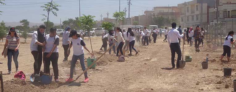 Les élèves de l’école Danielle Mitterrand d'Erbil s’impliquent dans le reboisement du Kurdistan d’Irak - mai 2017
