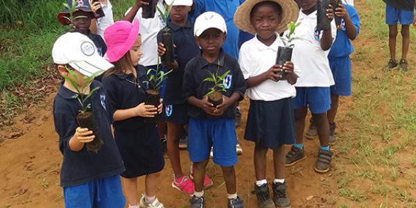 Journée de l’arbre, Ecole primaire Perenco de Muanda, décembre 2017