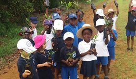 Journée de l'arbre, Ecole primaire Perenco de Muanda, décembre 2017