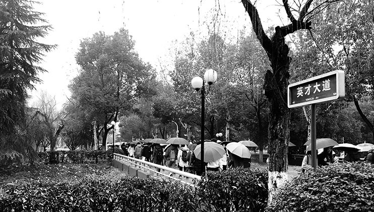 Les parapluies de Wuhan, Maya