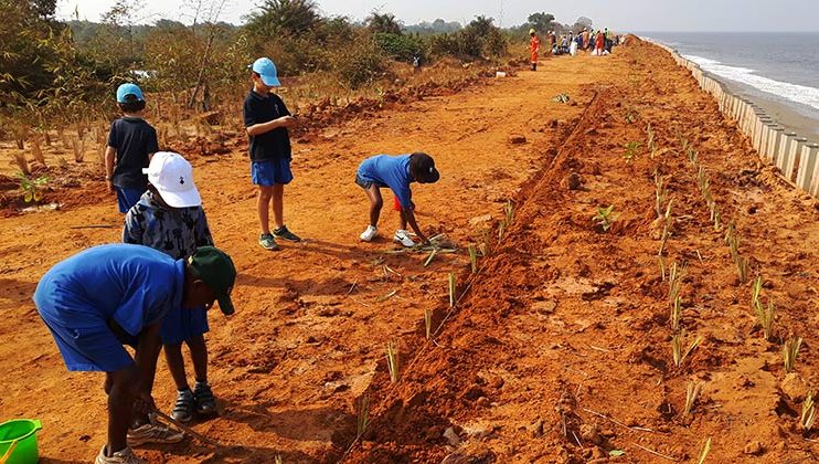 Journée de l’environnement, Mlf-Perenco, Muanda