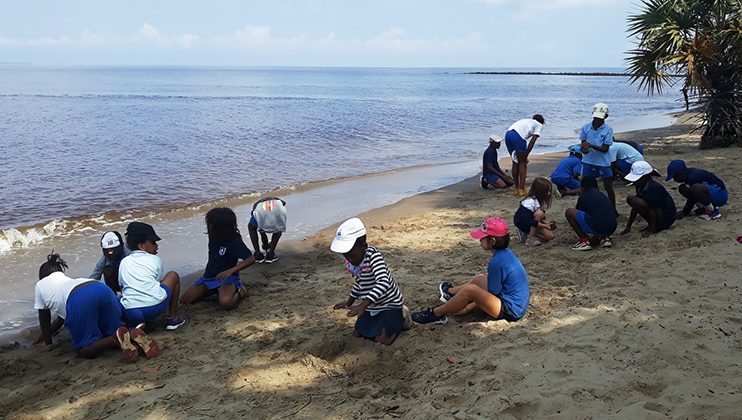 Journée de l’environnement, école Mlf Perenco, Muanda