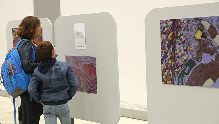 Visite de l’exposition, parents et élèves