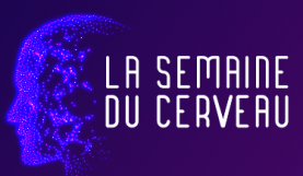 Semaine du cerveau - réseau mlfmonde - 2021 -vignette